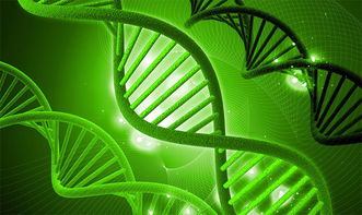 湘西州政協建言獻策，助力生物科技產業創新發展