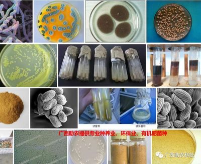 南寧微瑞生物科技 聚焦前沿科技，驅(qū)動健康未來